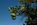 Album/DSC_0367.JPG